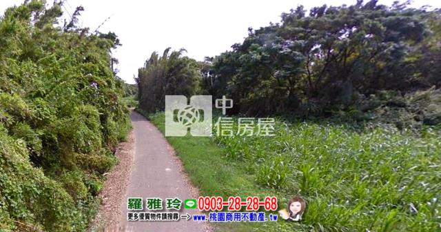 桃園觀音建地-6