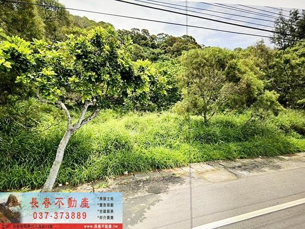 通霄農地-1