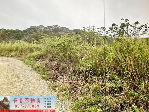 通霄農地-3
