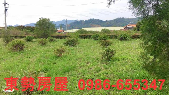東勢農地-9