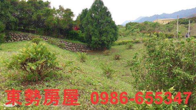 東勢農地-11