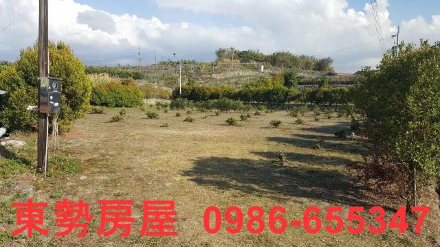 東勢農地-2