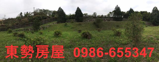 東勢農地-14