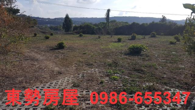 東勢農地-3