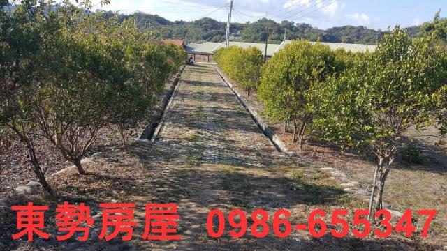 東勢農地-4