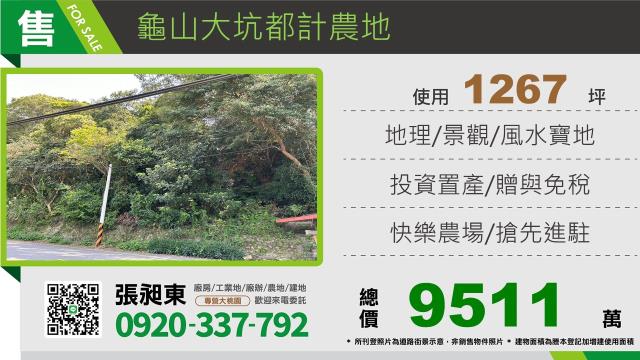 桃園農地-1