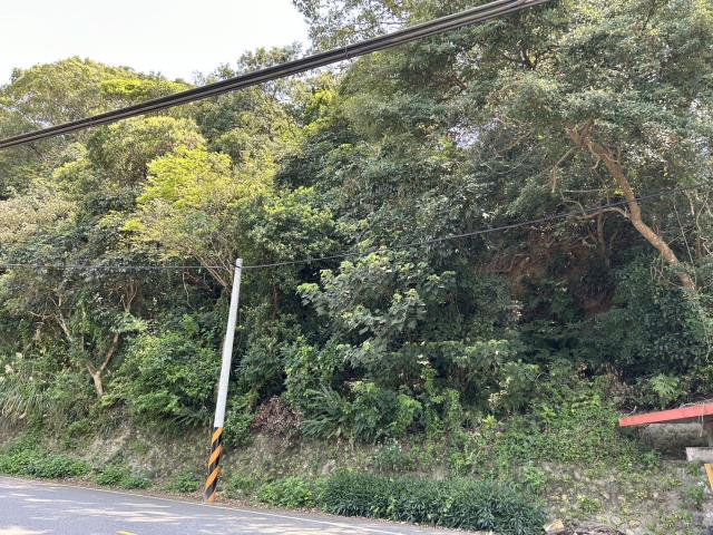 桃園農地-2