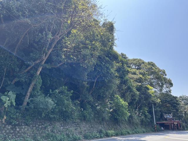 桃園農地-4