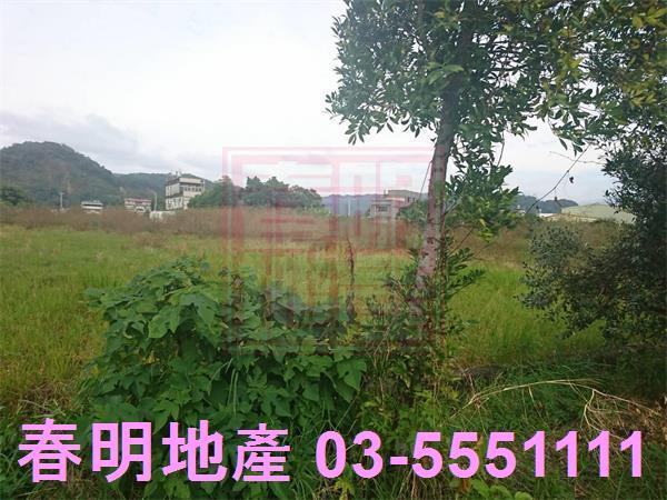 新竹農地-3