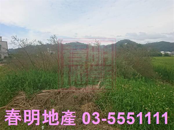 新竹農地-5