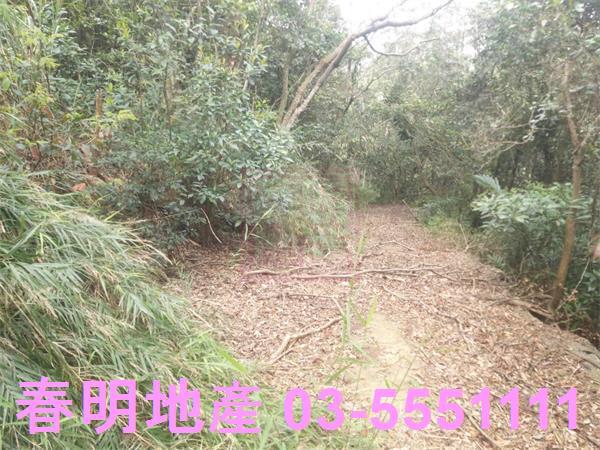 新竹農地-10
