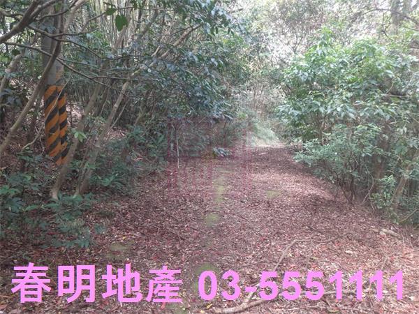 新竹農地-11