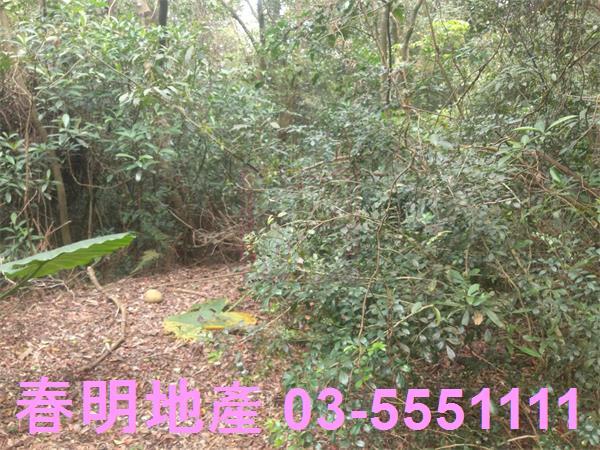新竹農地-12