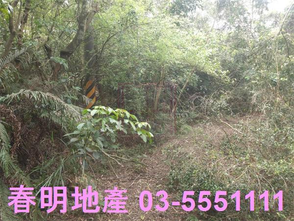 新竹農地-13