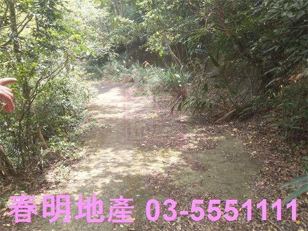 新竹農地-14