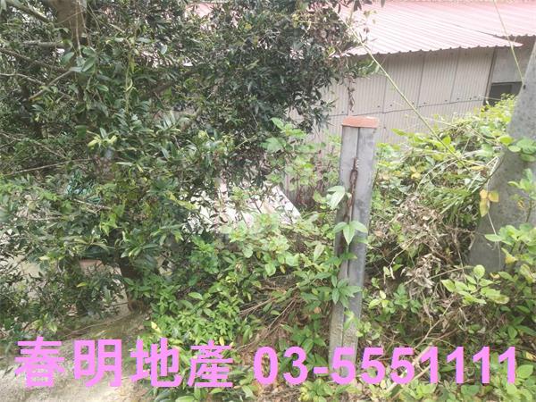 新竹農地-2