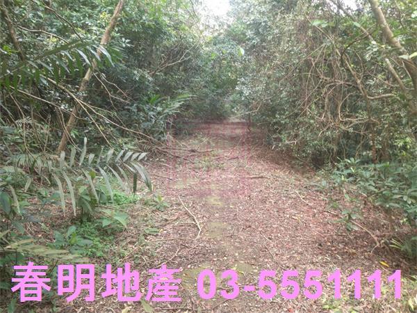新竹農地-7
