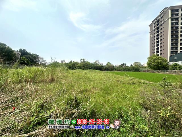 桃園中壢農地-2
