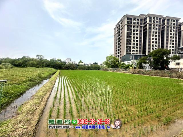 桃園中壢農地-3