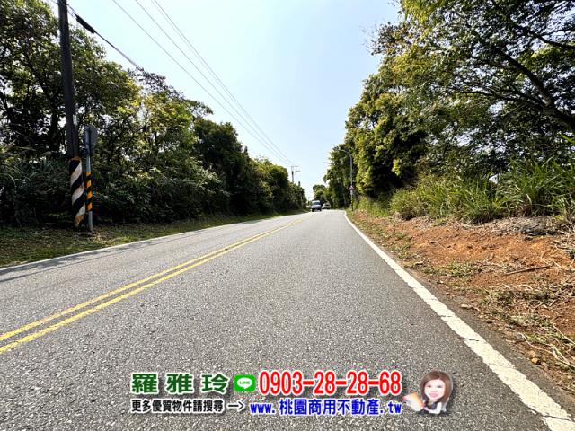 桃園桃園區農地-1