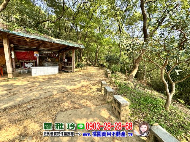 桃園桃園區農地-2