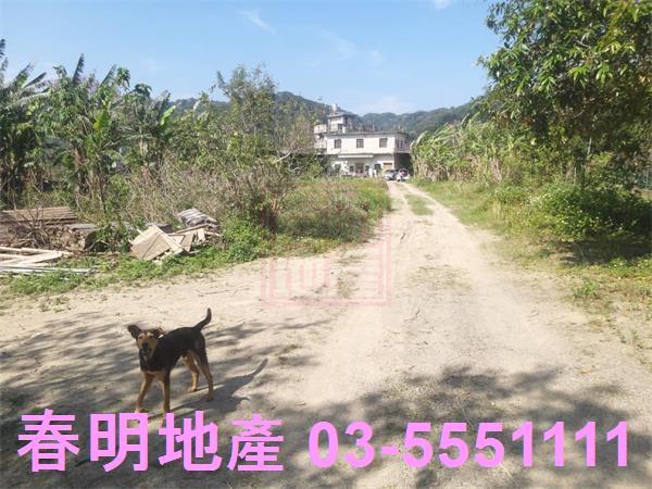 新竹芎林農地-11