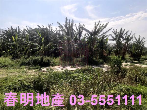 新竹芎林農地-13