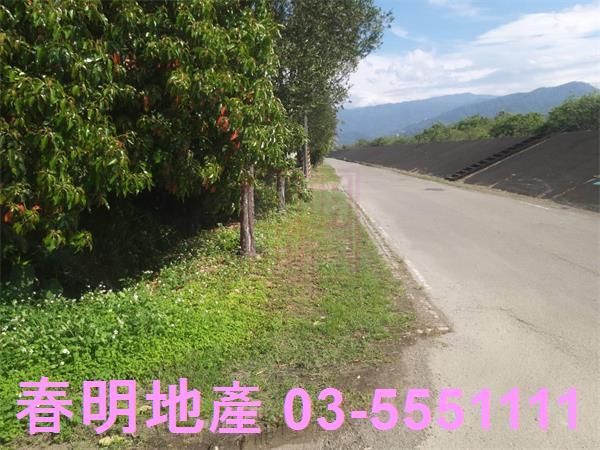 新竹芎林農地-8