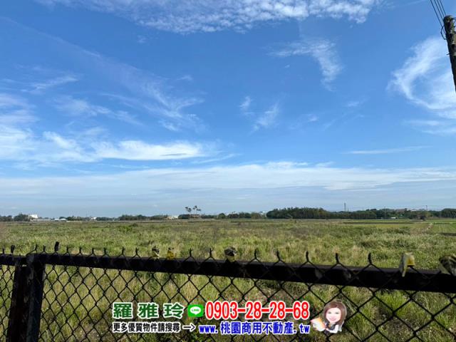 桃園新屋建地-5