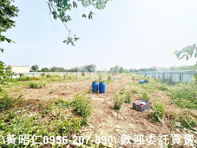 台南農地-4