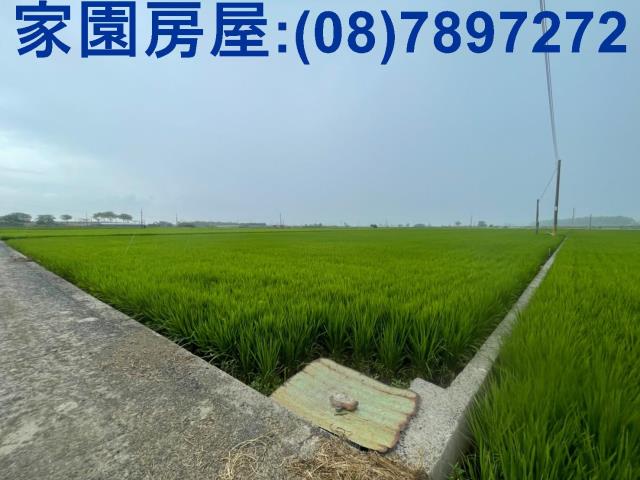 屏東萬丹農地-3