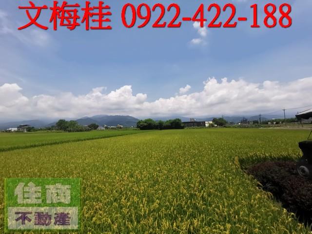 宜蘭農地-2