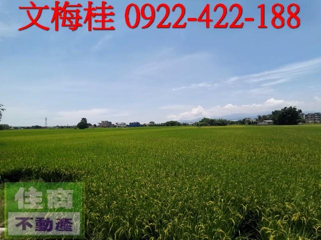 宜蘭農地-4
