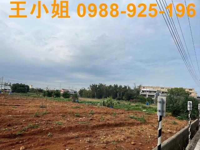 桃園區農地-5