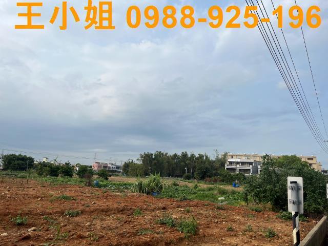 桃園區農地-6
