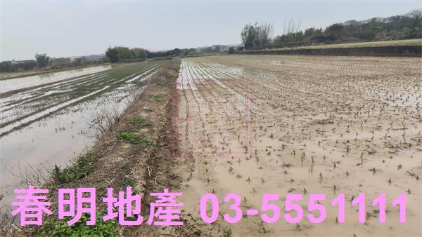 新豐農地-1