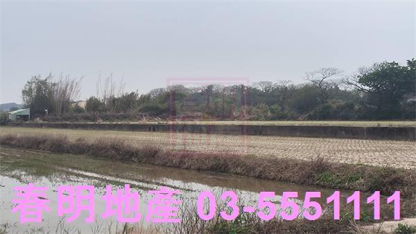 新豐農地-3
