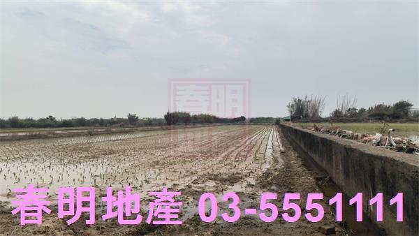 新豐農地-4