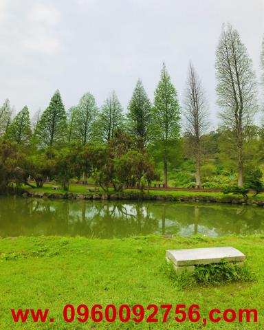 北埔山坡地-3