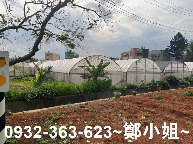 桃園桃園區農地-5