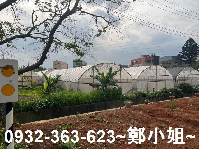 桃園桃園區農地-6