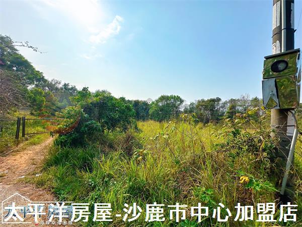 龍井保護地-10