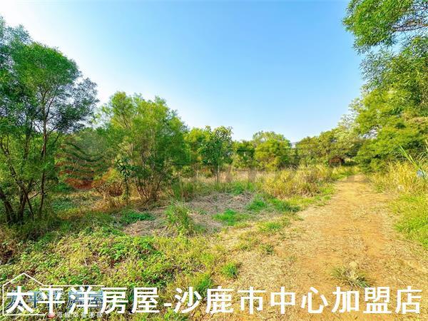 龍井保護地-2