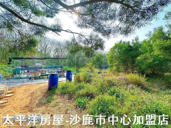 龍井保護地-3
