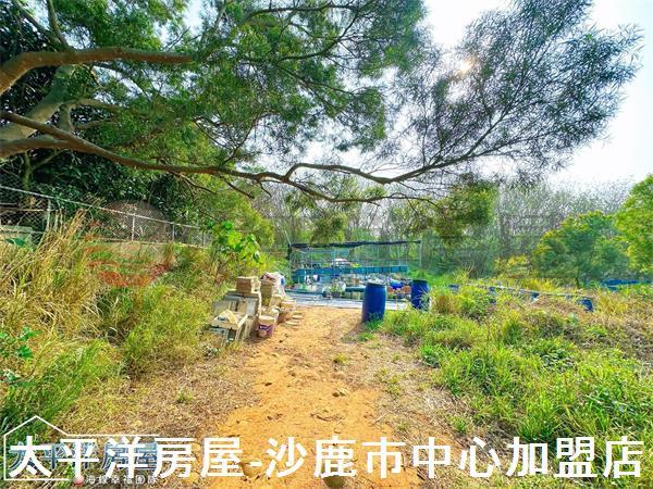 龍井保護地-4