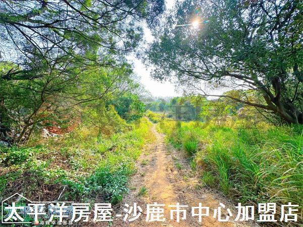 龍井保護地-6