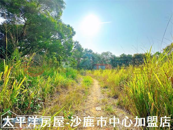 龍井保護地-7
