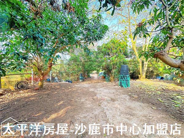 龍井保護地-8