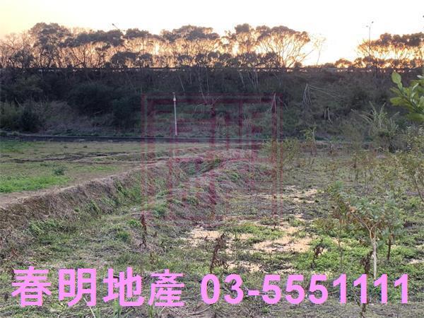新竹農地-1