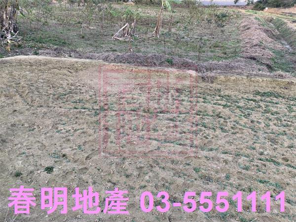 新竹農地-7